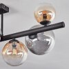 Chehalis ceiling light, globe light Amber, clear, Smoke-coloured, 8-light sources