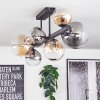 Chehalis ceiling light, globe light Amber, clear, Smoke-coloured, 8-light sources