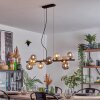 Chehalis hanging light, globe light, pendant light Amber, Smoke-coloured, 10-light sources