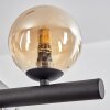 Chehalis hanging light, globe light, pendant light Amber, Smoke-coloured, 10-light sources