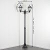 Fornelos outdoor light, lamp post, path light black, 2-light sources