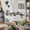 Chehalis hanging light, globe light, pendant light chrome, clear, Smoke-coloured, 8-light sources