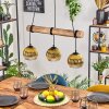 Koyoto hanging light, globe light, pendant light gold, clear, 3-light sources