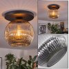 Ripoll ceiling light, globe light Smoke-coloured, 1-light source