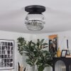 Ripoll ceiling light, globe light chrome, clear, Smoke-coloured, 1-light source