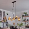 Chehalis hanging light, globe light, pendant light Amber, 8-light sources