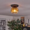 Ripoll ceiling light, globe light gold, clear, 1-light source
