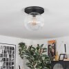 Ripoll ceiling light, globe light clear, 1-light source