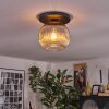 Ripoll ceiling light, globe light Smoke-coloured, 1-light source
