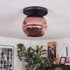 Ripoll ceiling light, globe light coppery, 1-light source