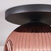 Ripoll ceiling light, globe light coppery, 1-light source