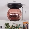 Ripoll ceiling light, globe light coppery, 1-light source