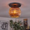 Ripoll ceiling light, globe light coppery, 1-light source