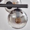 Gastor hanging light, globe light, pendant light clear, Smoke-coloured, 8-light sources