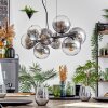 Gastor hanging light, globe light, pendant light clear, Smoke-coloured, 8-light sources