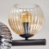 Koyoto ceiling light, globe light Amber, clear, Smoke-coloured, 8-light sources