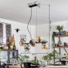 Koyoto hanging light, globe light, pendant light Amber, chrome, Smoke-coloured, 8-light sources