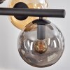 Gastor hanging light, globe light, pendant light Amber, Smoke-coloured, 8-light sources