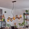 Gastor hanging light, globe light, pendant light Amber, clear, Smoke-coloured, 10-light sources