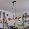 Chehalis hanging light, globe light, pendant light Amber, Smoke-coloured, 8-light sources