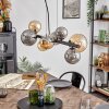 Chehalis hanging light, globe light, pendant light Amber, Smoke-coloured, 8-light sources