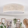 Antillo ceiling light matt nickel, 3-light sources