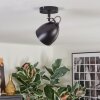 Bjedstrup ceiling light, ceiling spotlight, wall spotlight black, 1-light source