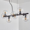 Gastor hanging light, globe light, pendant light clear, 8-light sources