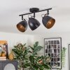 Bjedstrup ceiling light, ceiling spotlight black, 3-light sources