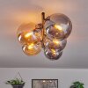 Gastor ceiling light, globe light Amber, Smoke-coloured, 5-light sources