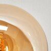 Gastor ceiling light, globe light Amber, Smoke-coloured, 5-light sources