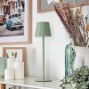 Allen Outdoor table lamp, table lamp LED green, 1-light source