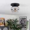 Apedo ceiling light, globe light clear, Smoke-coloured, 1-light source