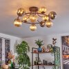 Chehalis ceiling light, globe light Amber, Smoke-coloured, 12-light sources