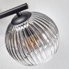 Koyoto ceiling light, globe light Amber, clear, Smoke-coloured, 3-light sources