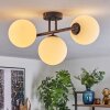 Gastor ceiling light, globe light white, 3-light sources