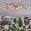 Brina ceiling light LED brown, gold, 1-light source