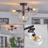 Gastor ceiling light, globe light clear, 3-light sources