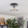 Boza ceiling light, globe light clear, 1-light source