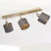 TIBRO Ceiling Light gold, grey, 3-light sources