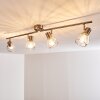 PARADO Ceiling light matt nickel, 4-light sources