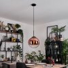 Gastor hanging light, globe light, pendant light 30 cm clear, coppery, 1-light source