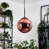 Gastor hanging light, globe light, pendant light coppery, 1-light source