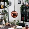 Gastor hanging light, globe light, pendant light coppery, 1-light source