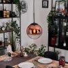 Gastor hanging light, globe light, pendant light clear, coppery, 1-light source