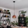 Gastor hanging light, globe light, pendant light clear, coppery, 1-light source