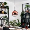 Gastor hanging light, globe light, pendant light clear, coppery, 1-light source