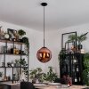 Gastor hanging light, globe light, pendant light coppery, 1-light source