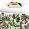 Cadaixo ceiling light, Panel LED white, 1-light source, Remote control