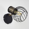 Bacau Wall Light black-gold, 1-light source
